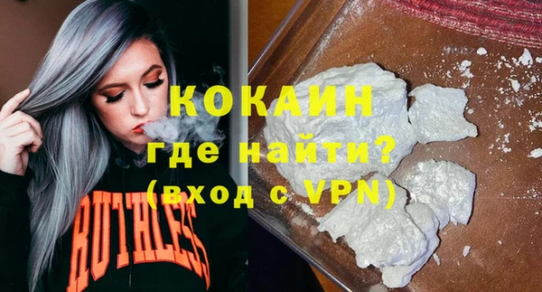 гашик Пестово