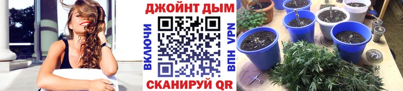 Конопля SATIVA & INDICA Тосно