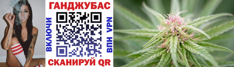 как найти наркотики Тосно Канабис гибрид